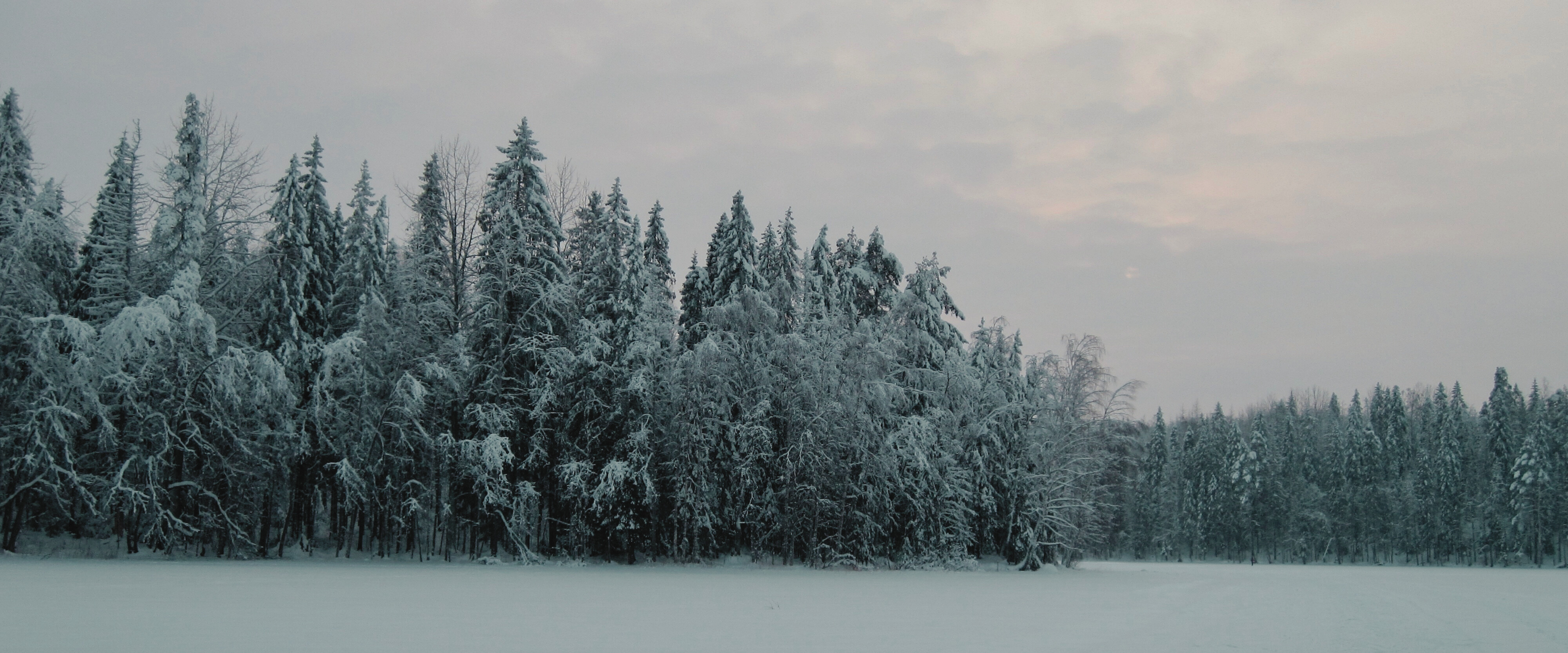 Dachzelt im Winter - So bleibt ihr warm und sicher